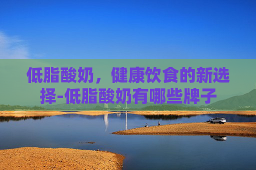 低脂酸奶，健康饮食的新选择-低脂酸奶有哪些牌子