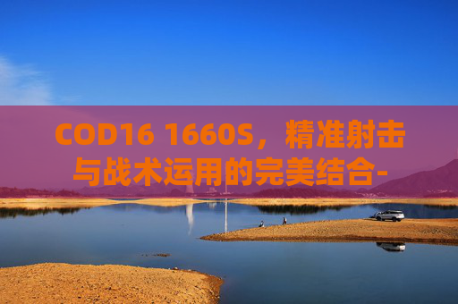 COD16 1660S，精准射击与战术运用的完美结合-