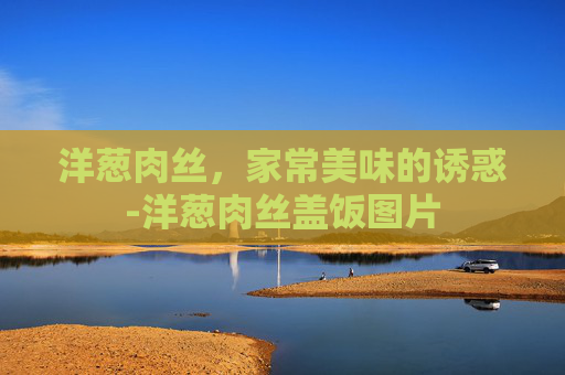 洋葱肉丝，家常美味的诱惑-洋葱肉丝盖饭图片
