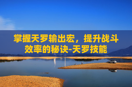 掌握天罗输出宏，提升战斗效率的秘诀-天罗技能