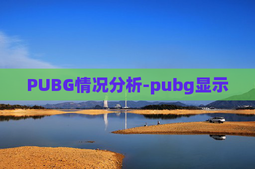 PUBG情况分析-pubg显示