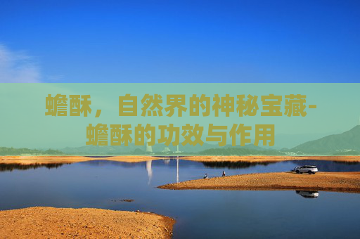 蟾酥，自然界的神秘宝藏-蟾酥的功效与作用