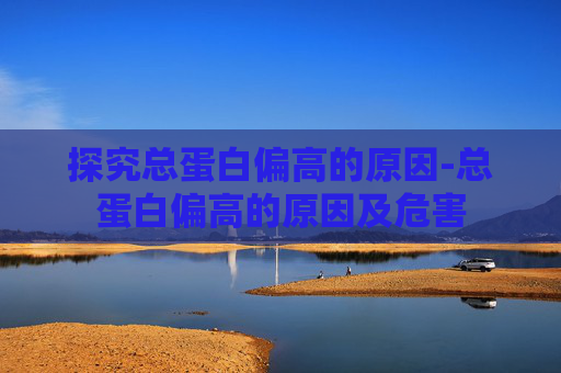 探究总蛋白偏高的原因-总蛋白偏高的原因及危害