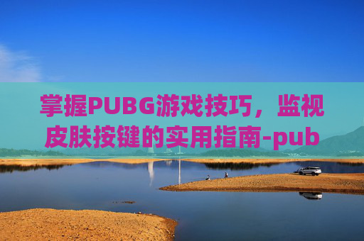 掌握PUBG游戏技巧，监视皮肤按键的实用指南-pubg监视器在哪