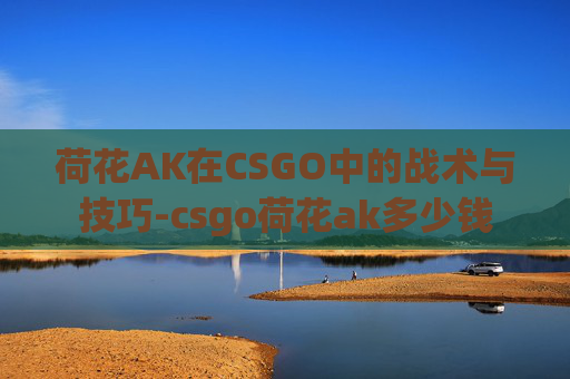 荷花AK在CSGO中的战术与技巧-csgo荷花ak多少钱