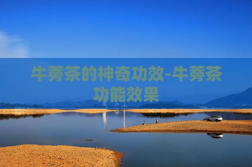 牛蒡茶的神奇功效-牛蒡茶功能效果